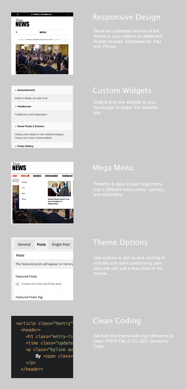 TrueNews WordPress Theme