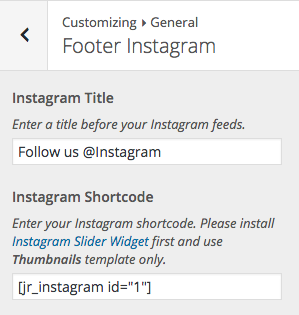 Instagram Setup Options