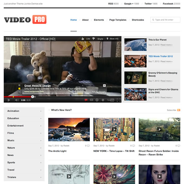 VideoPro Theme