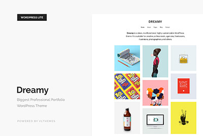 Portfolio Themes