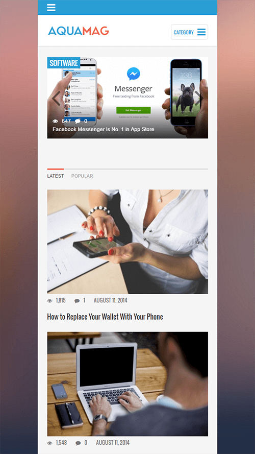 AquaMag WordPress Theme Mobile Screenshot