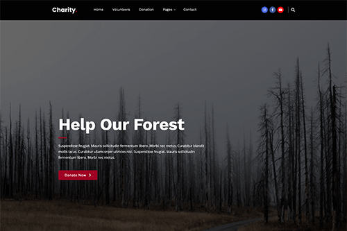 Free Charity WordPress Theme