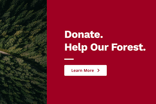 Drag & Drop Your Own Charity Website