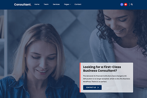 Consultant WordPress Theme Screenshot
