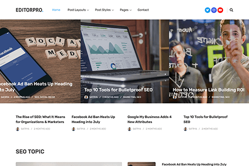 EditorPro WordPress Theme