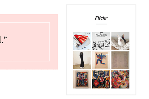 Social Widgets