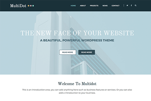 MultiDot WordPress Theme Screenshot