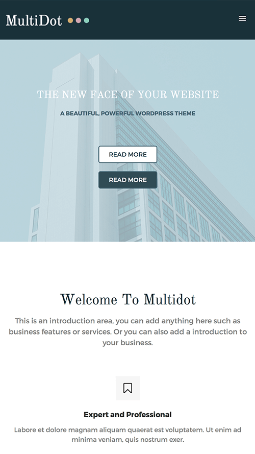 MultiDot WordPress Theme Mobile Screenshot