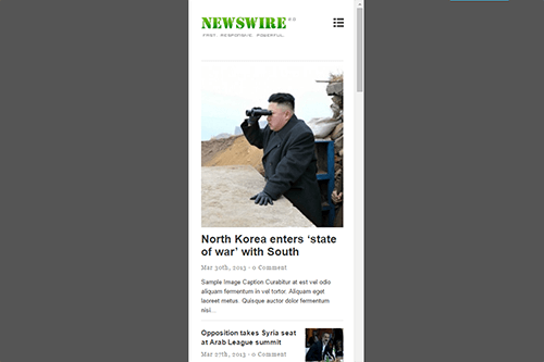 Newswire WordPress Theme Tablet Screenshot