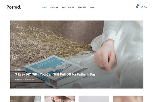 Posted WordPress Theme