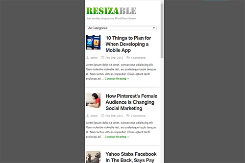 Custom Widgets