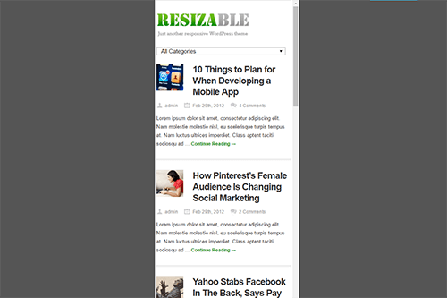 Resizable WordPress Theme Tablet Screenshot