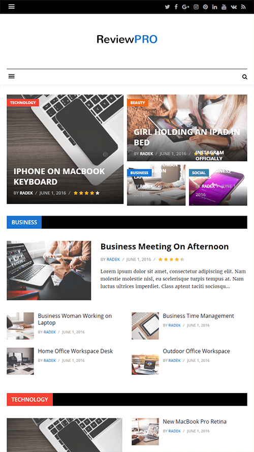 ReviewPro WordPress Theme Mobile Screenshot