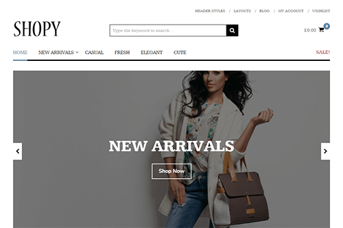 Shopy WordPress Theme Screenshot