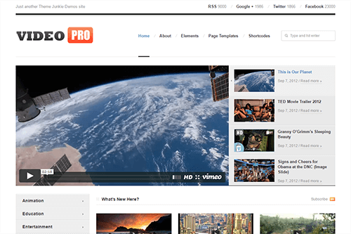 VideoPro WordPress theme