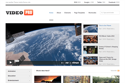 VideoPro WordPress Theme Screenshot