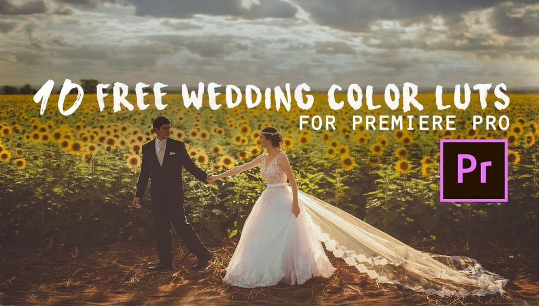 10 Free Wedding Color Luts