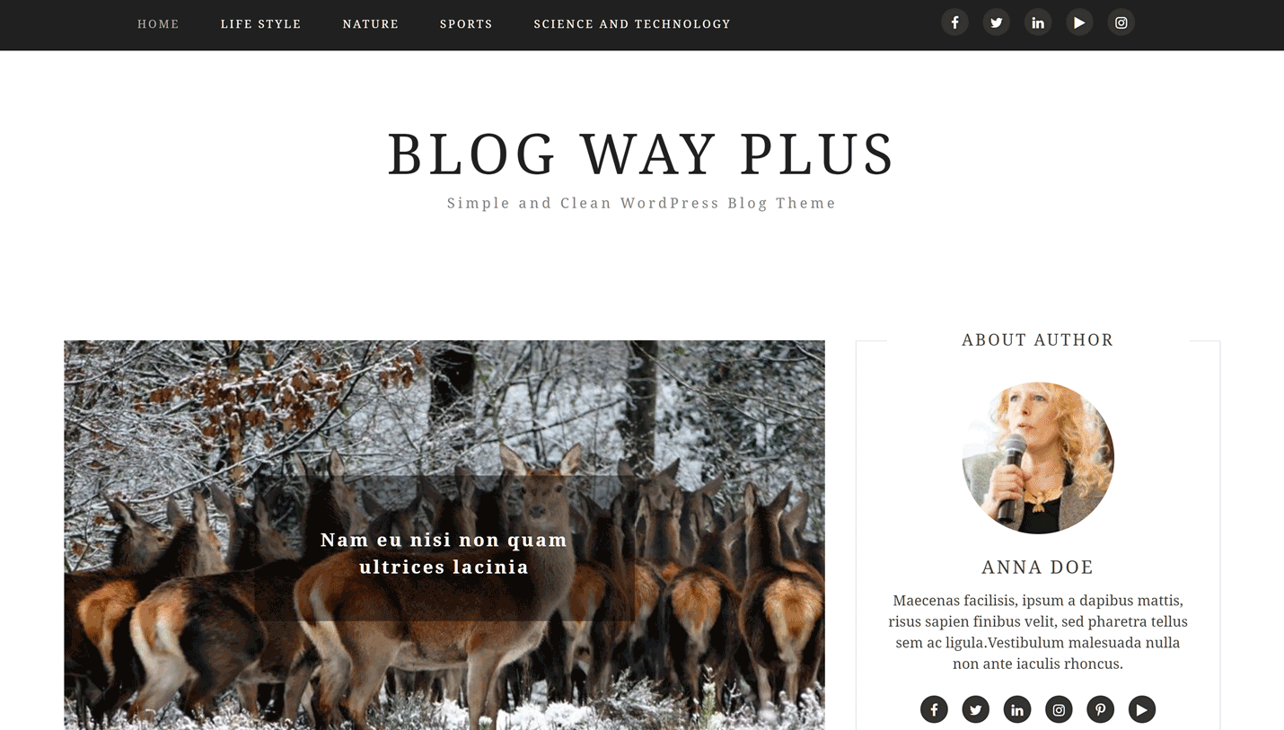 Blog Way Plus