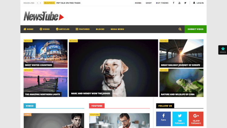 youtube wordpress theme
