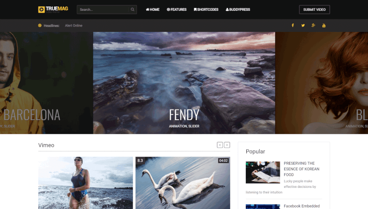 youtube wordpress theme