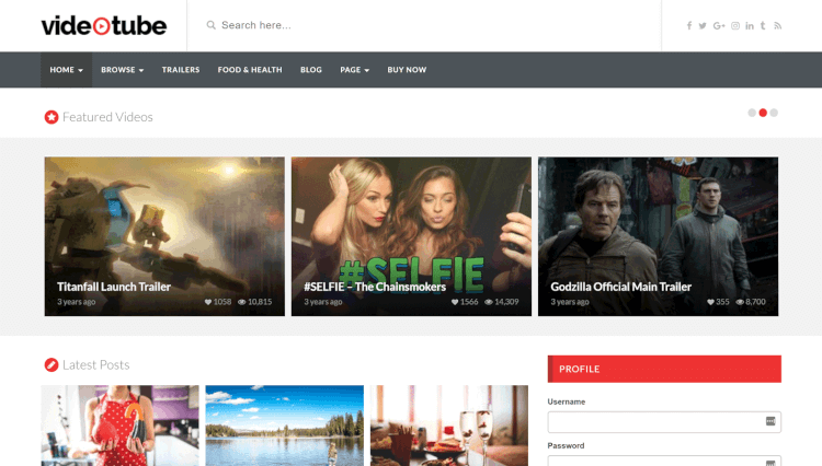 youtube wordpress theme