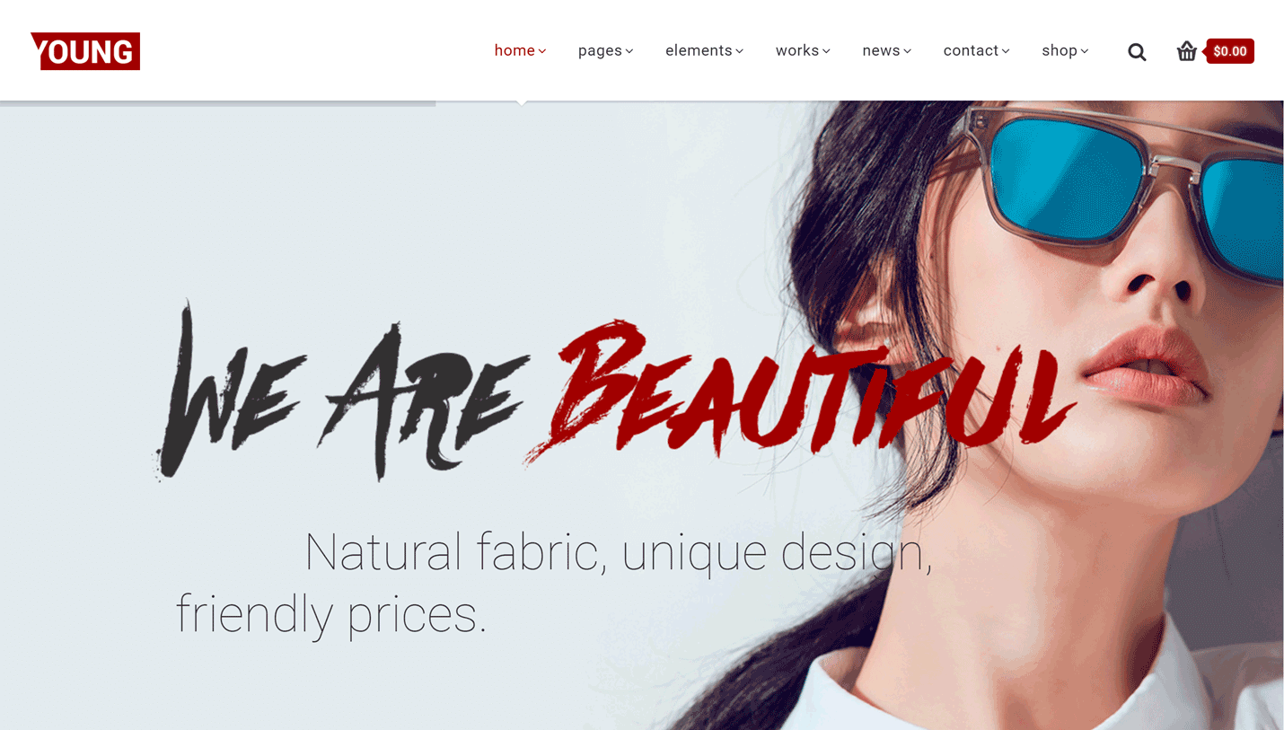 Young - Portfolio Slider Revolution WordPress Theme