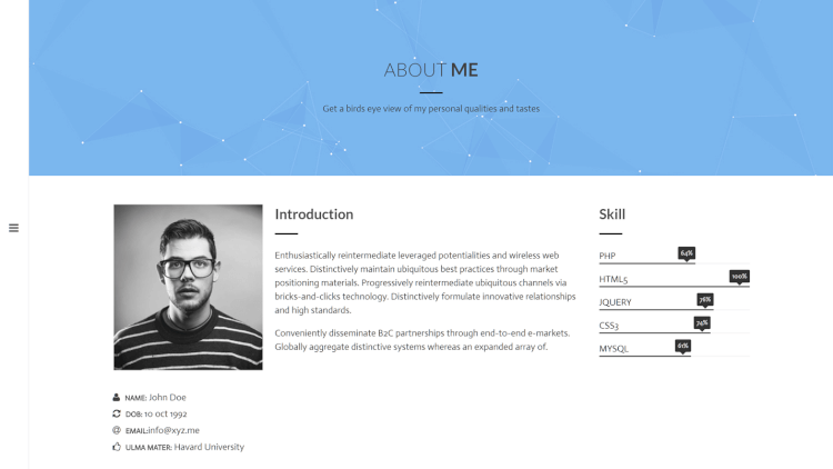 resume wordpress theme