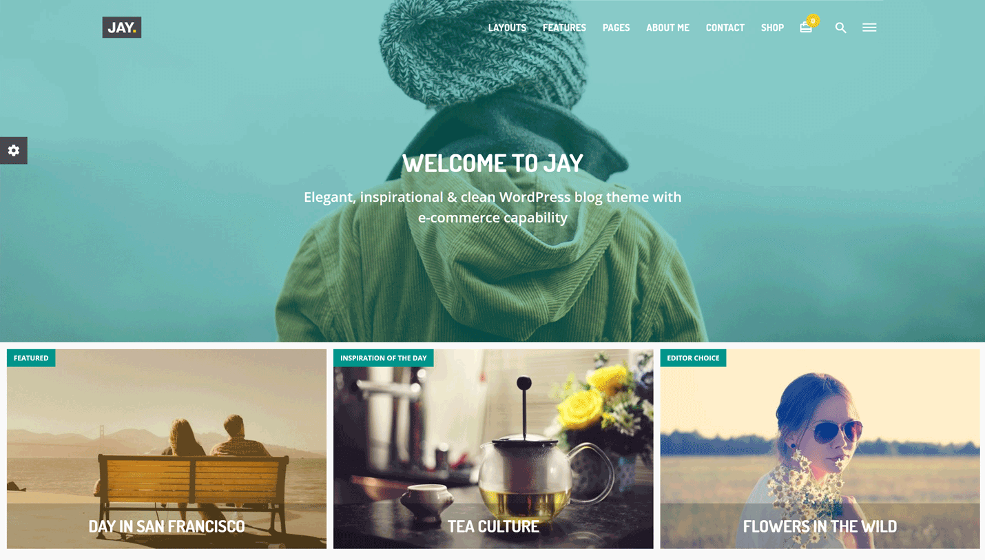 Jay - Elegant Portfolio Dribbble WordPress Theme