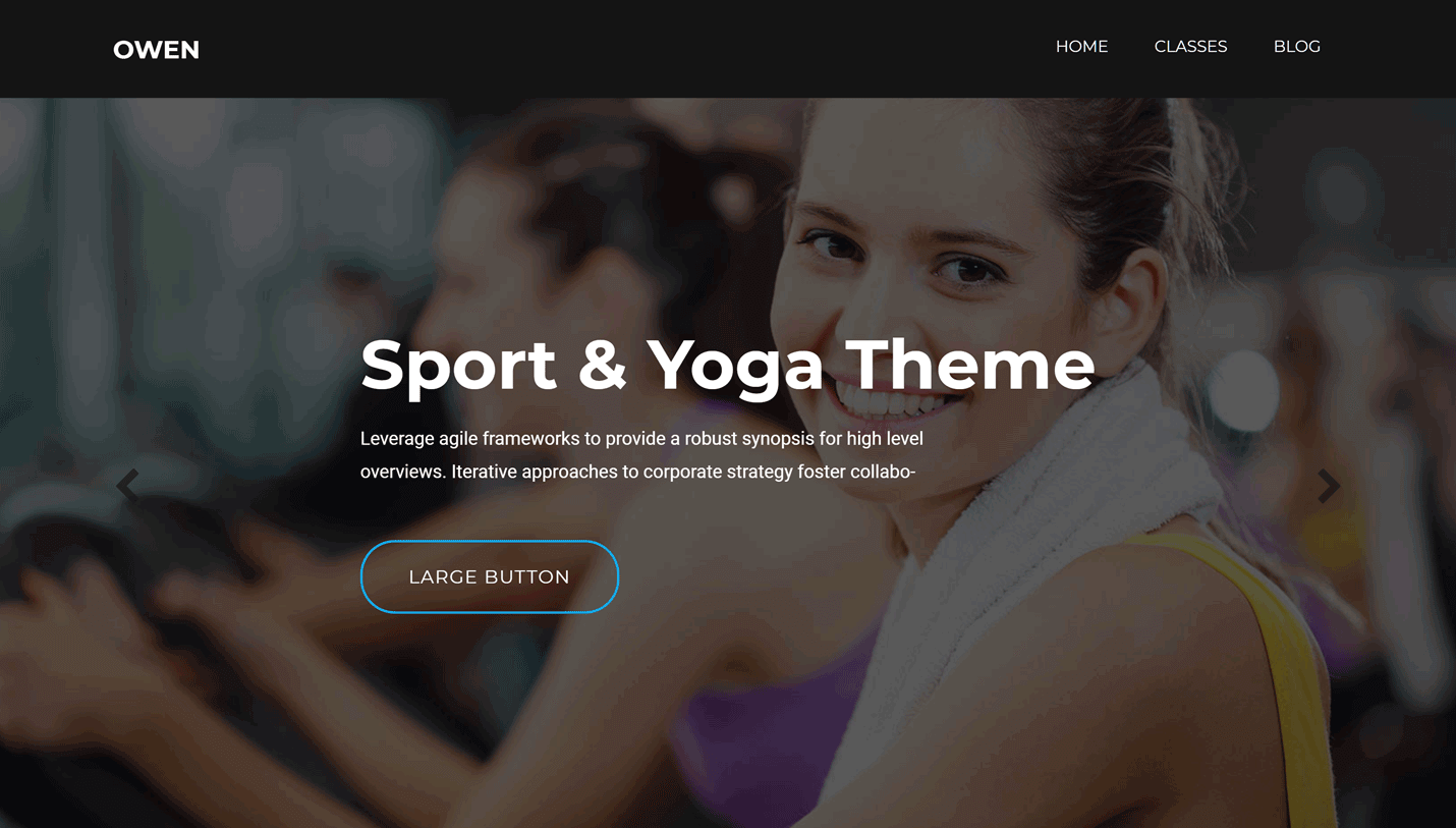 Owen - Personal Trainer and Gym WordPress Theme