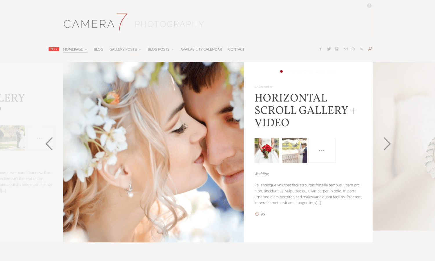 Camera 7 - Minimal Photography WordPress Theme