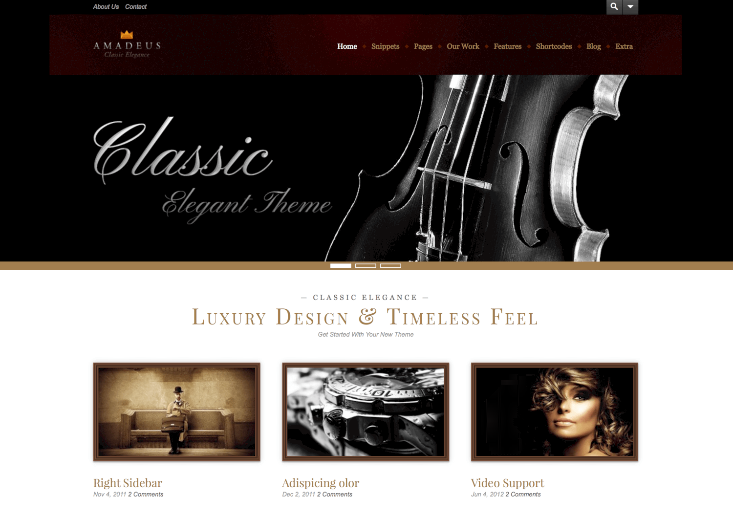 Amadeus - Classic & Elegant WordPress Theme