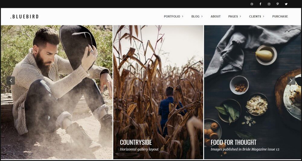 BlueBird - Professional Photographer WordPress Theme