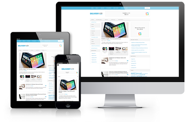 delivery-lite-screenshot
