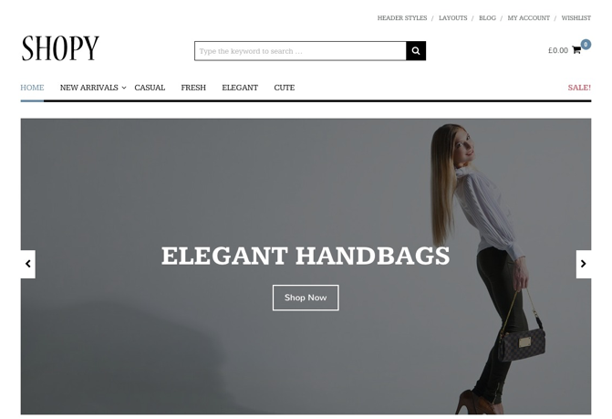 Shopy WordPress theme