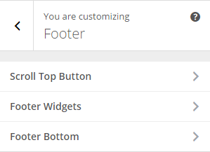 Saha Customizer Footer