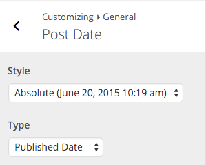 Beginner Customizer Post Date