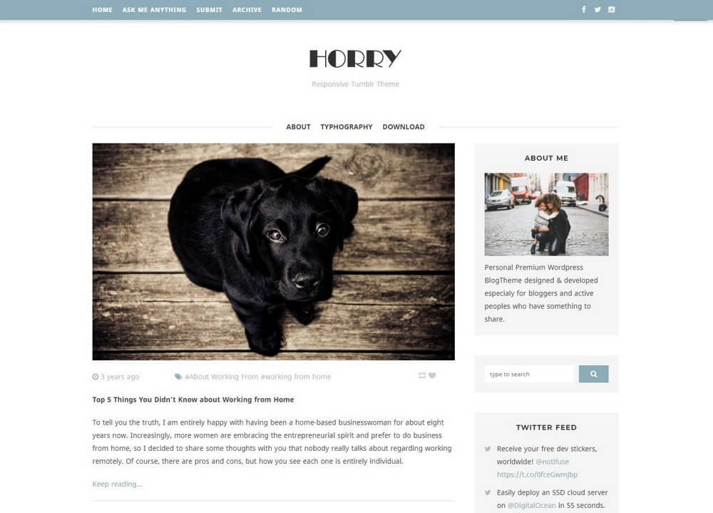 Horry - Blogging Sidebar Tumblr Theme