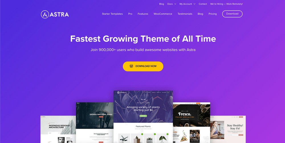 23. The Best and Most Popular WordPress Theme 2020