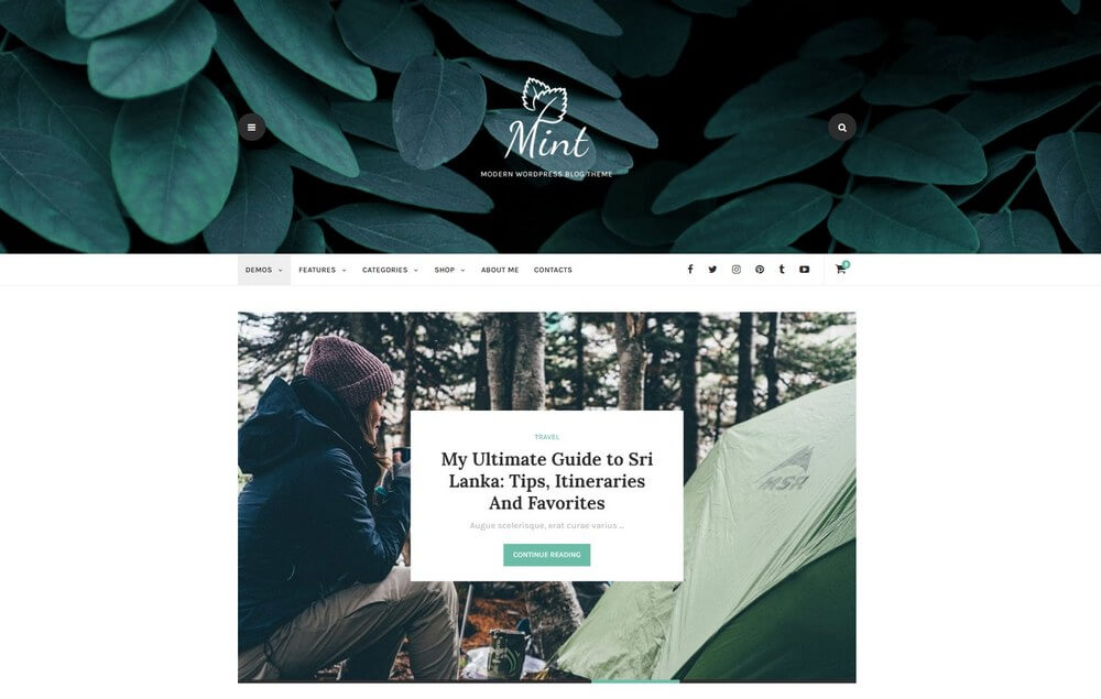 Mint - Modern Blog Material Design WordPress Theme