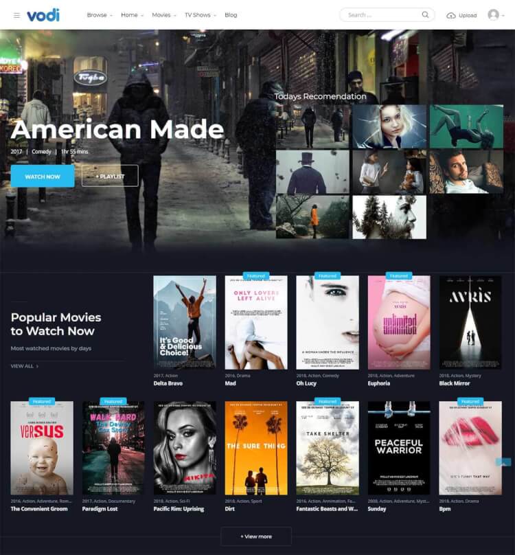 45+ Best YouTube & Video Gallery WordPress Themes 2024 (Free + Premium