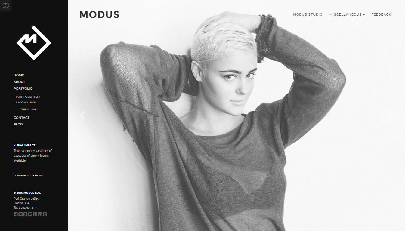 Modus - Portfolio WordPress Theme