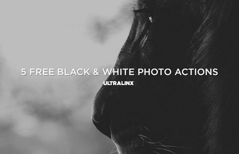 5 Free B&W Photoshop Actions