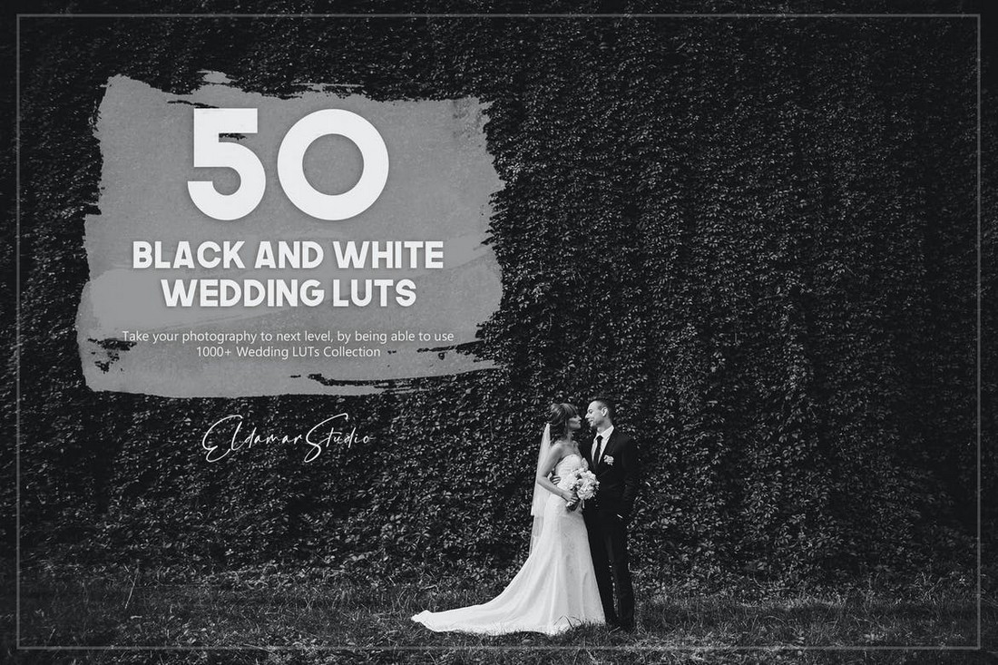 50 Black and White Wedding LUTs Pack