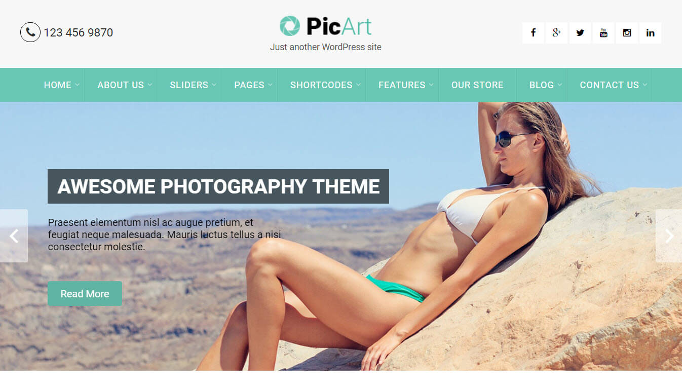 PicArt - Creative Slideshow WordPress Theme