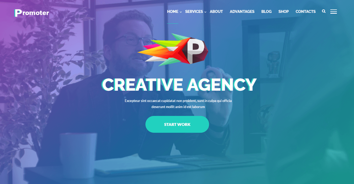Promoter - Business WordPress Theme