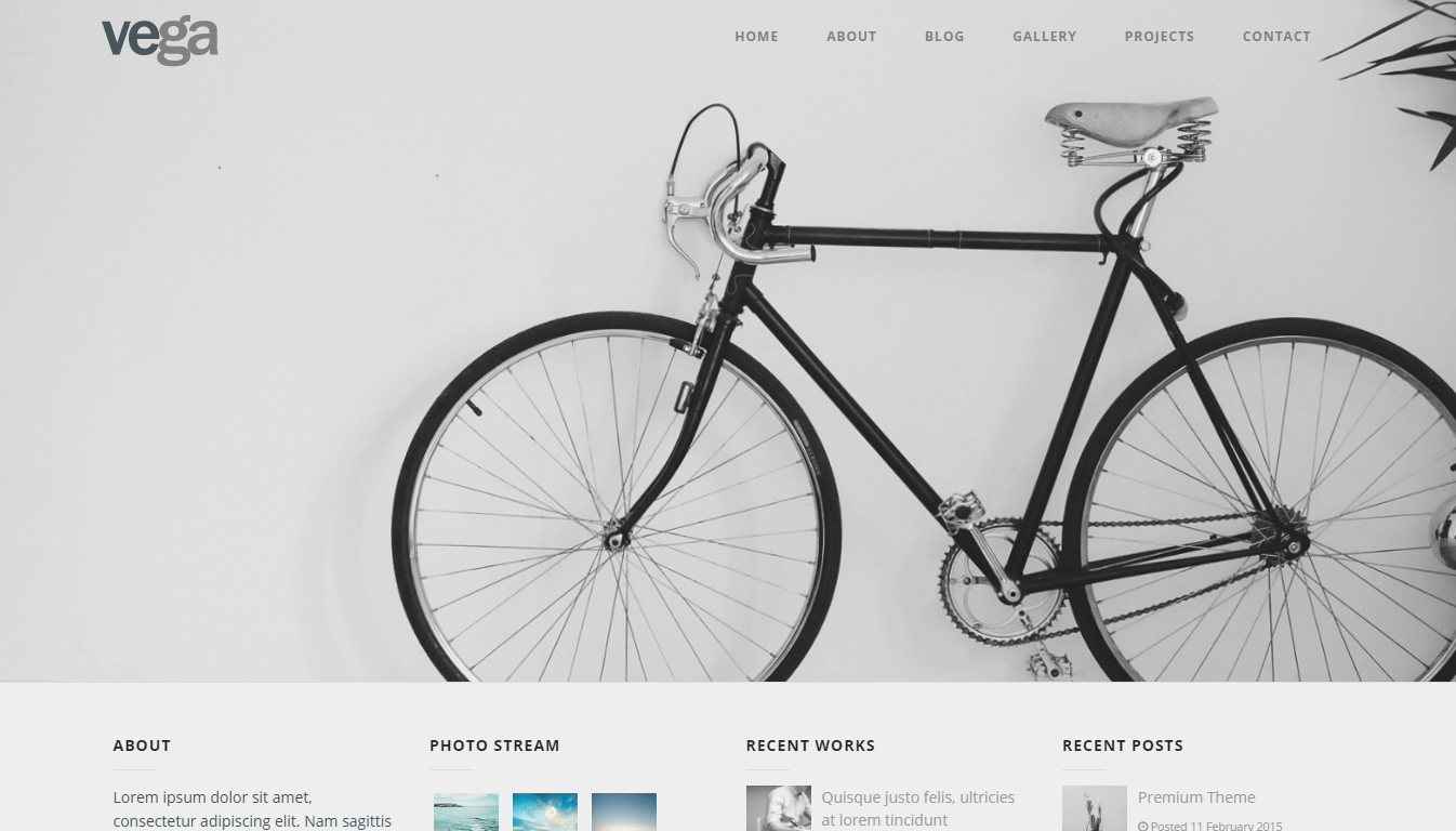 Vega - Photography and Personal Portfolio WordPress Theme