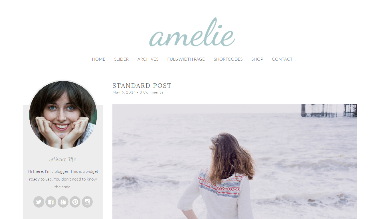 Amelie - Feminine RTL Wordpress Theme