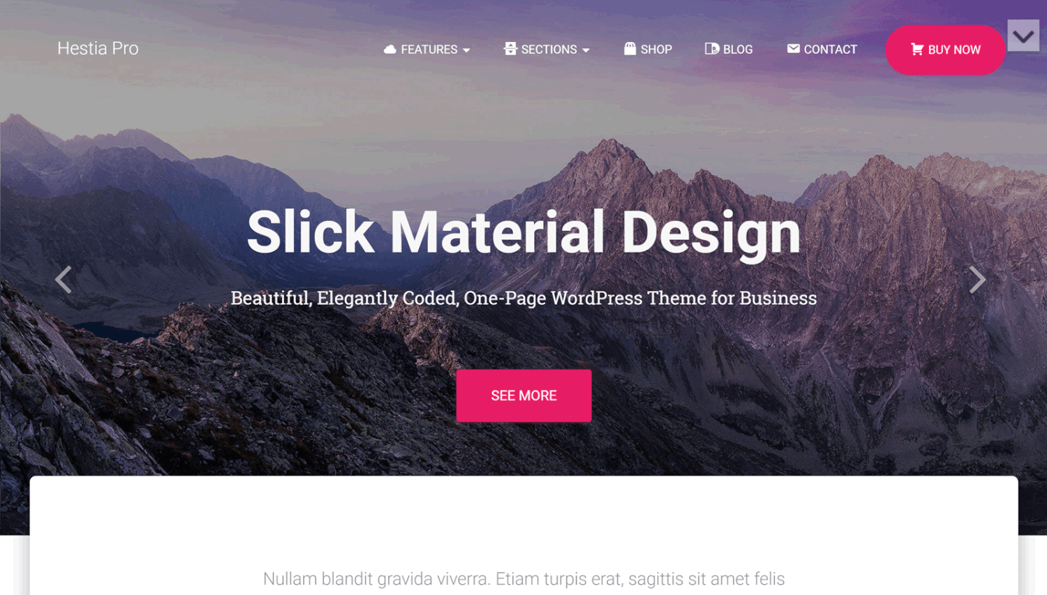 Hestia Pro - Material Design WordPress Theme