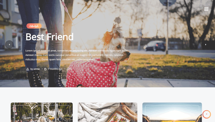 60+ Best Slideshow WordPress Themes 2025 (Free & Premium) - Theme Junkie