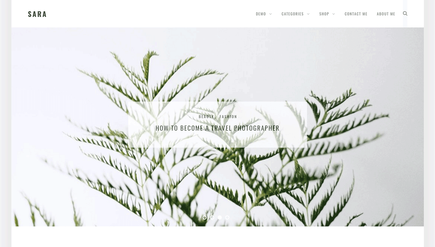 Sara - Simple and Minimal WordPress Blog Theme